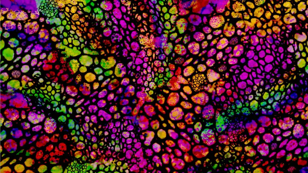 Black cell wall forms in various sizes, overlain an array of colourful patches blended in to each other including green, purple, yellow, red, and blue