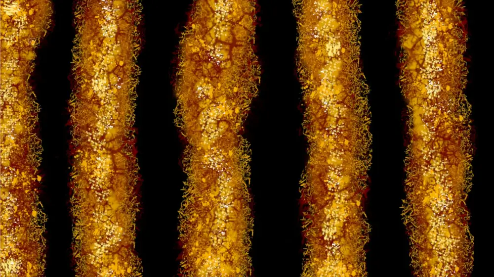 Vertical columns of fibrous yellow and red, glistening like it's a little wet