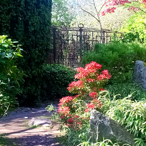 A photograph taken in Calderstones park, Liverpool