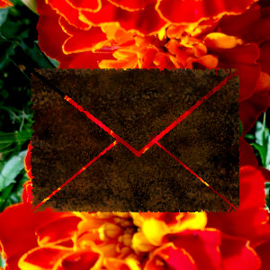 An envelope icon foreshadowing a photo of marigolds.