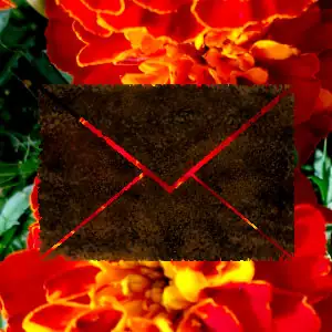 An envelope icon foreshadowing a photo of marigolds.